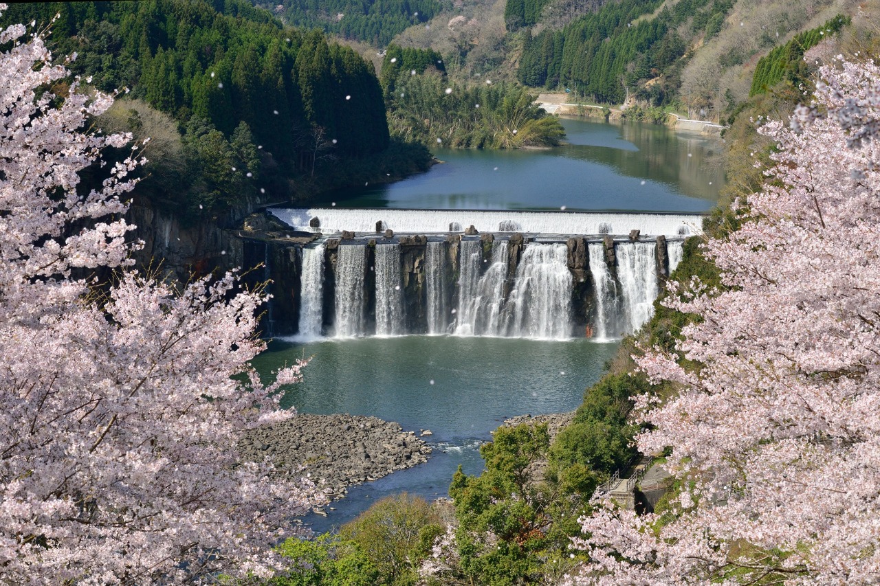 沈堕の滝と桜