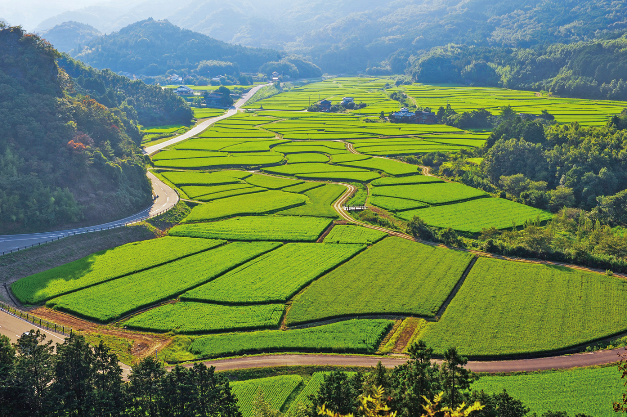 世界農業遺産 田染荘