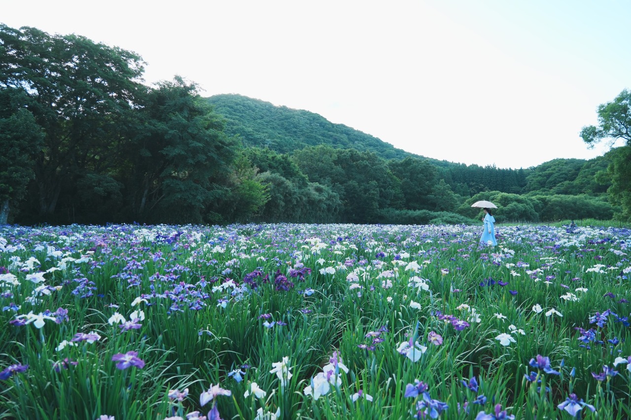 雨の日の神楽女湖