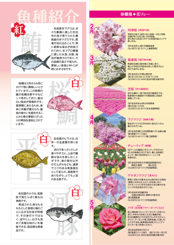 魚種紹介とお花