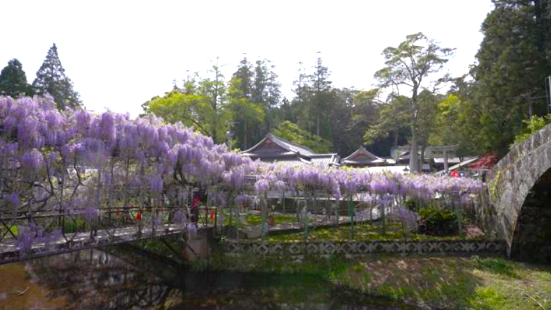 西寒田神社 ふじ祭り